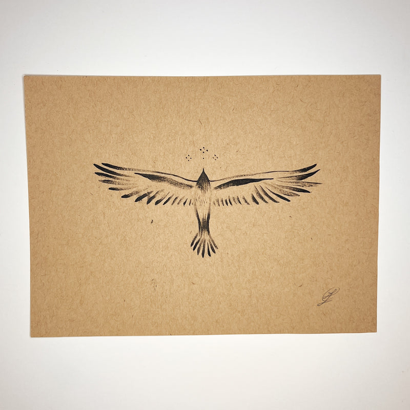 Flying Free