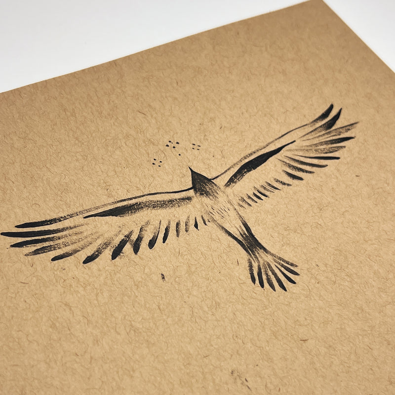 Flying Free